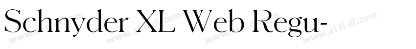 Schnyder XL Web Regu字体转换